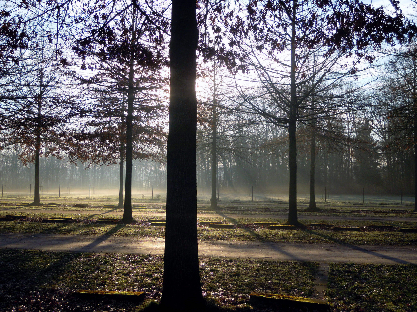 Früh.nebel