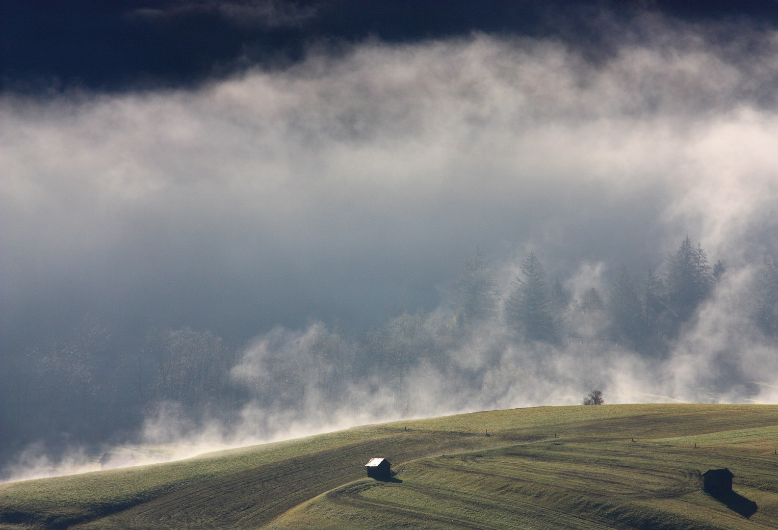 Frühnebel 1