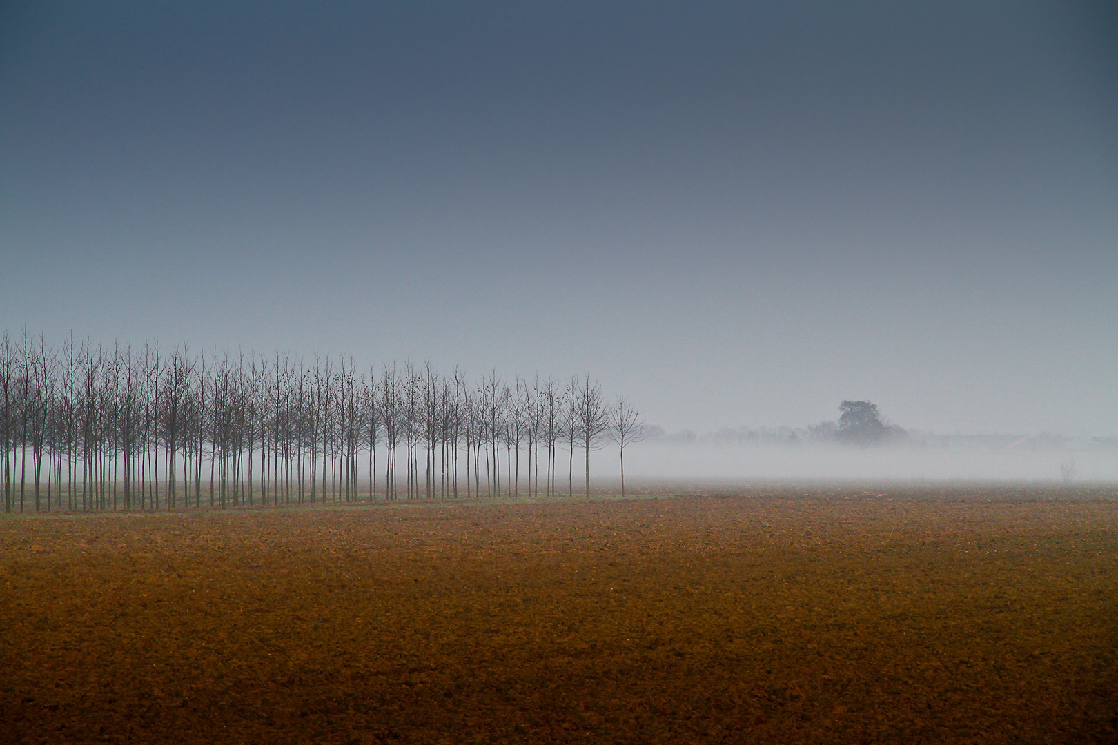 Frühnebel 1