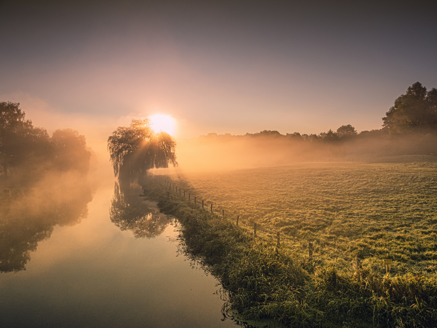 Frühnebel