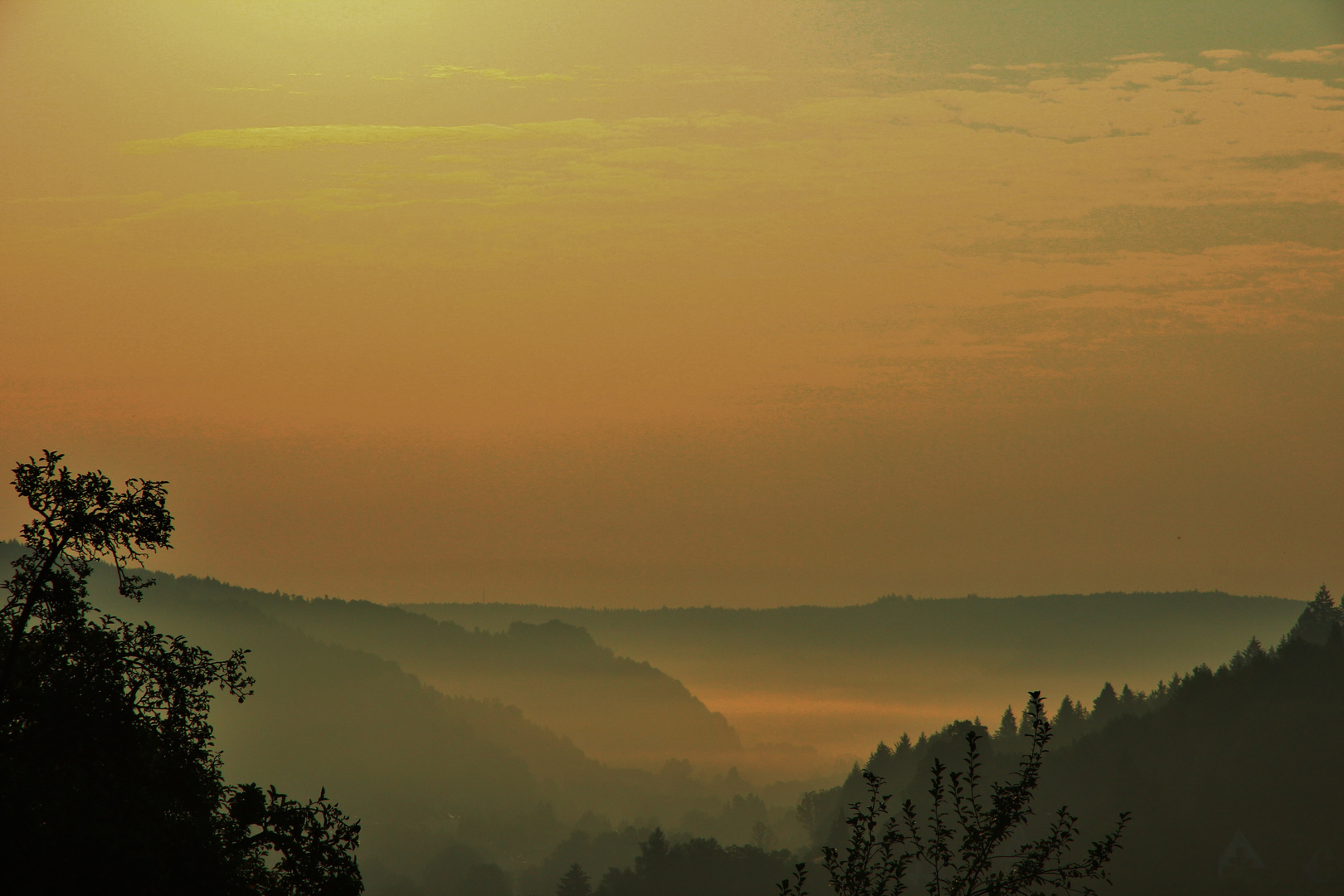 Frühnebel