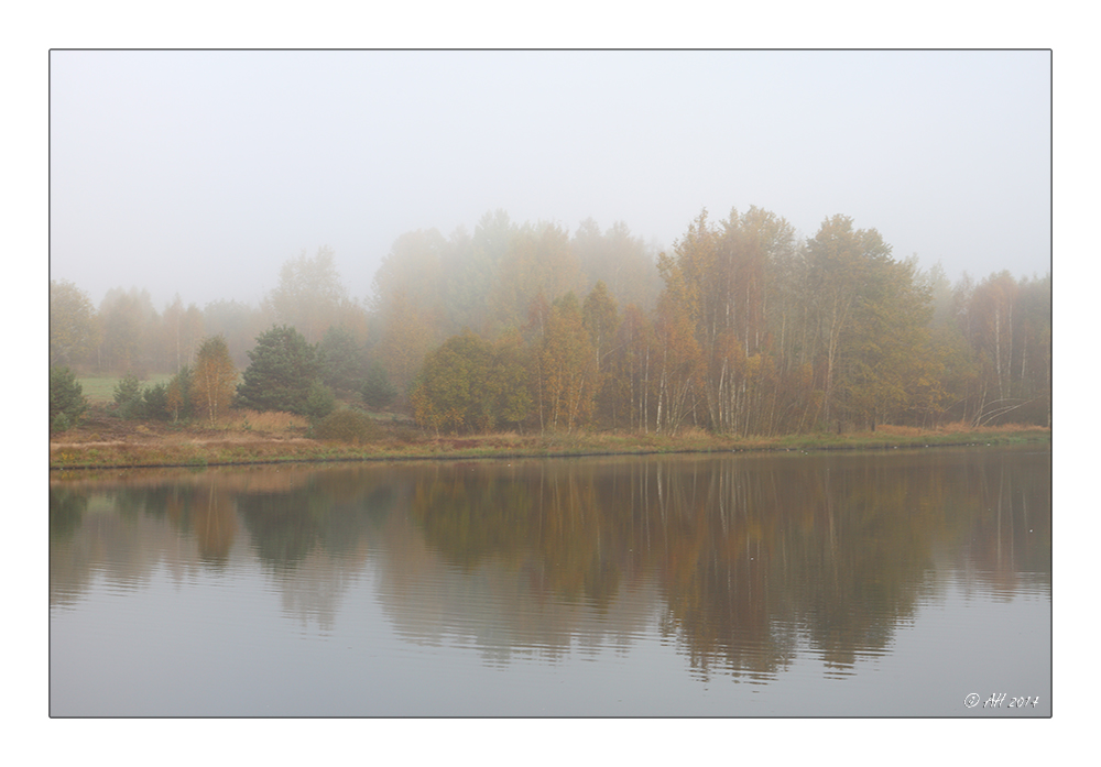 Frühnebel