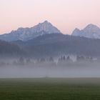 Frühnebel...