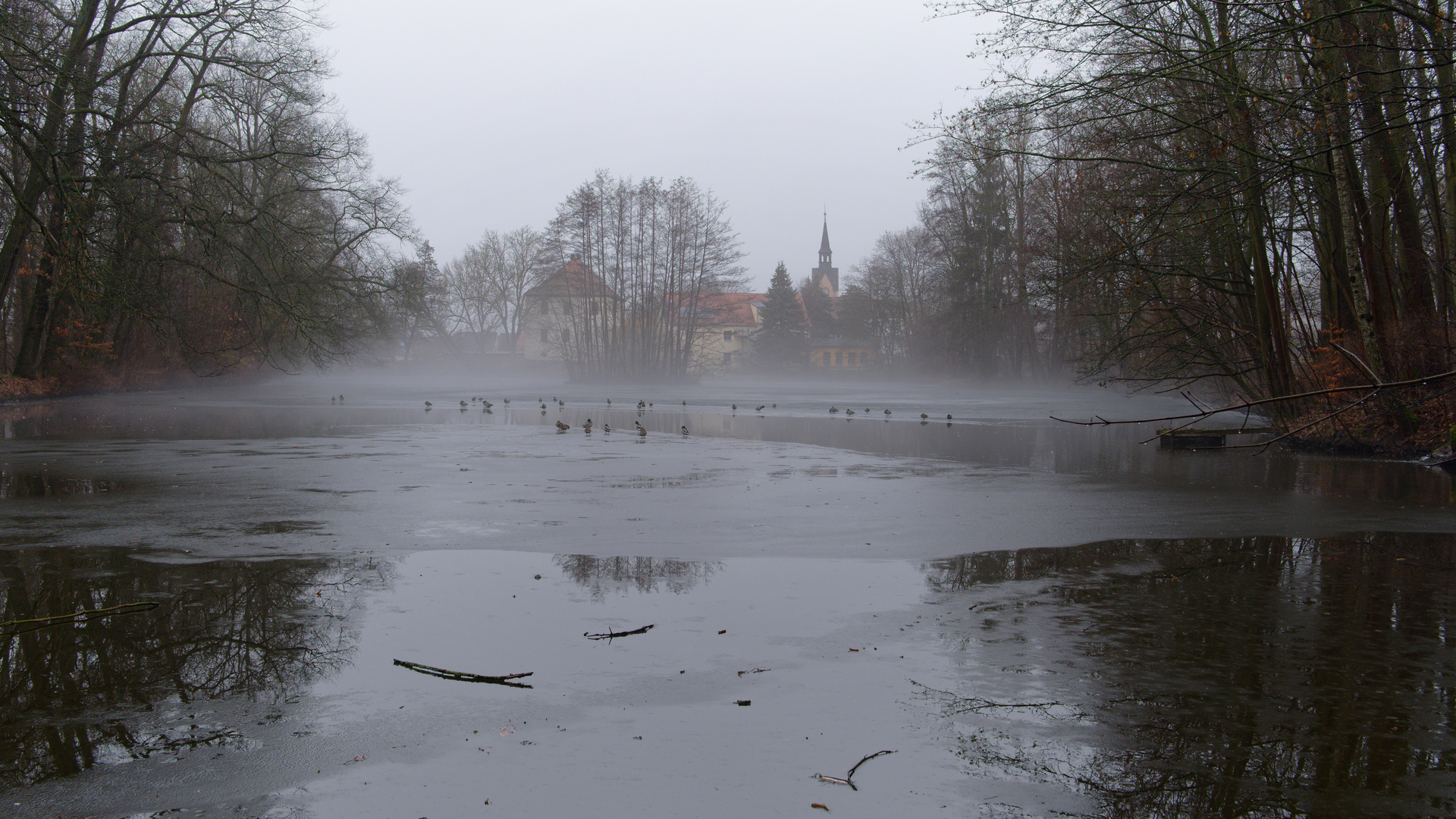 Frühnebel