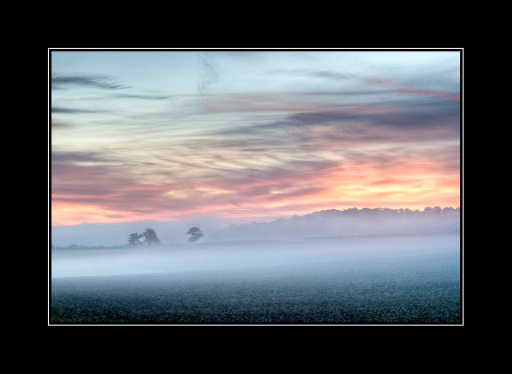 Frühnebel