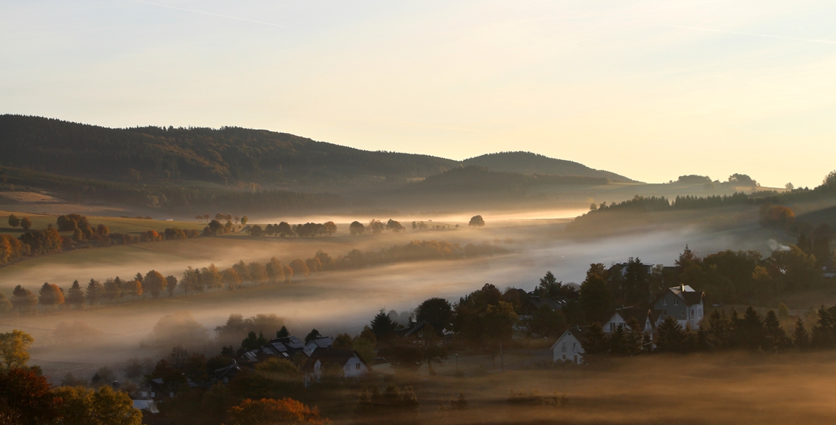 Frühnebel 2