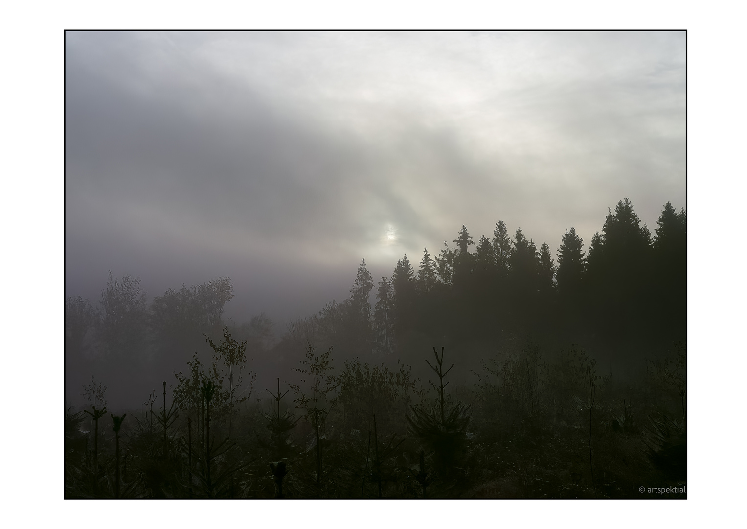 Frühnebel (2) mit Sonne