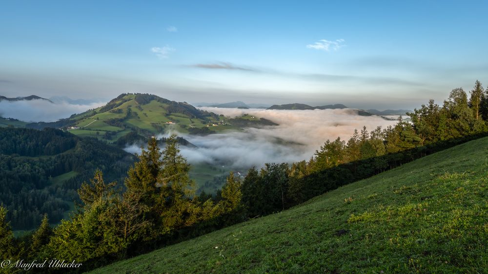 Frühnebel ...