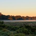 fruehnebel..