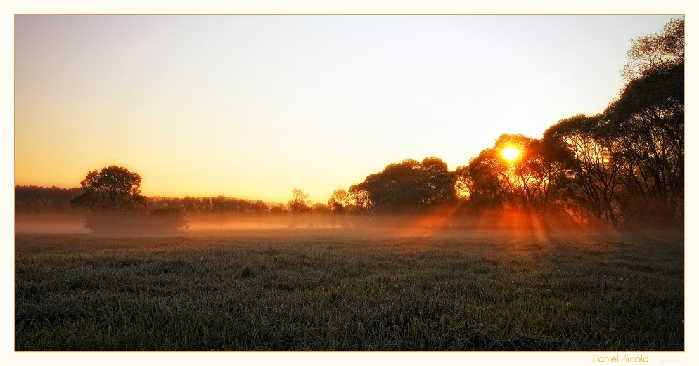 Frühnebel