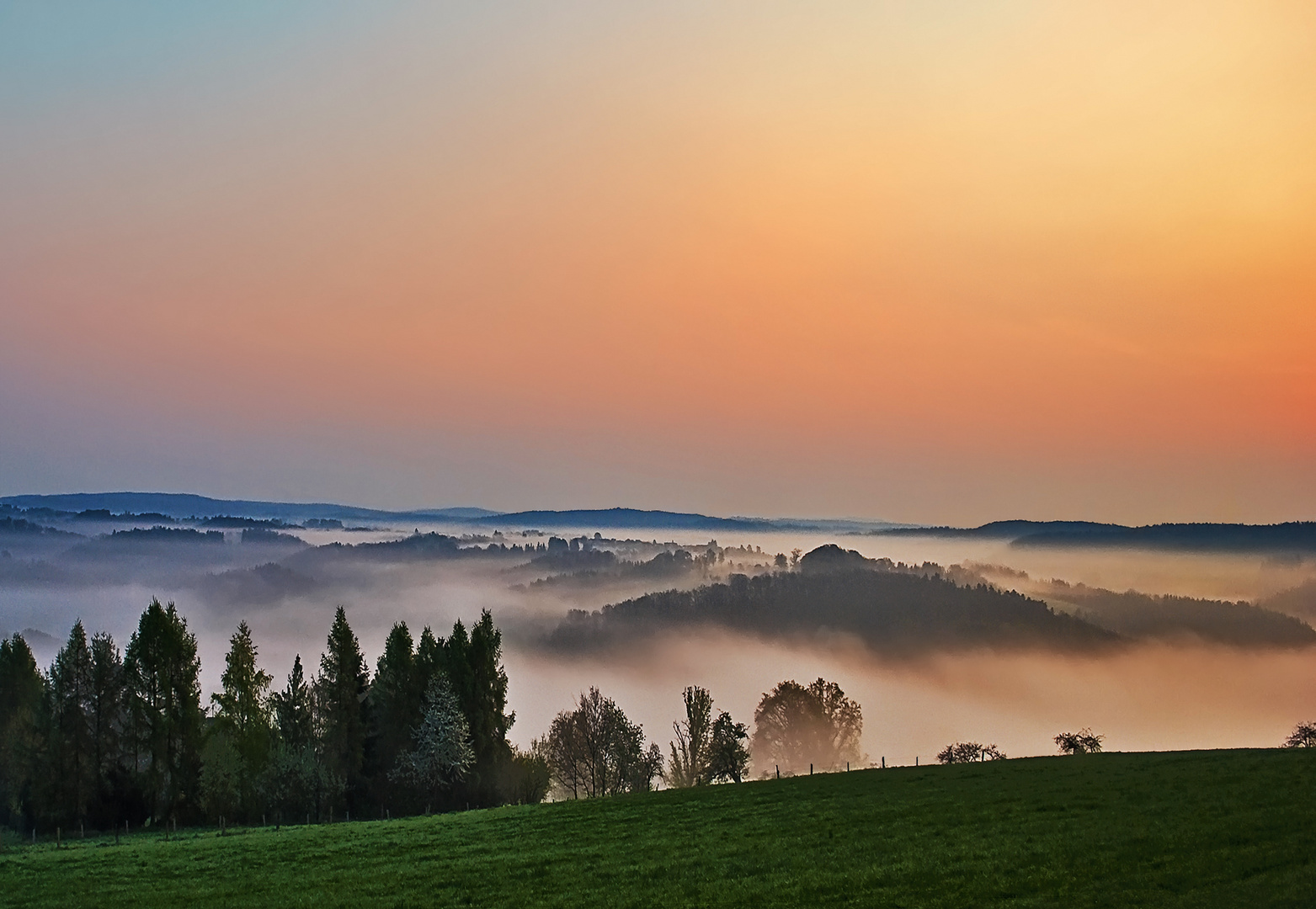 Frühnebel