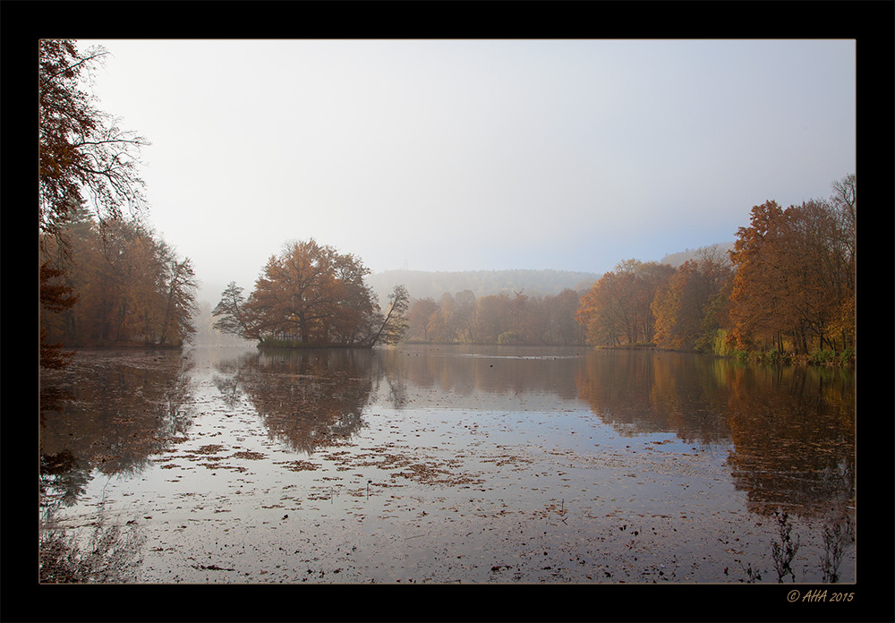 Frühnebel