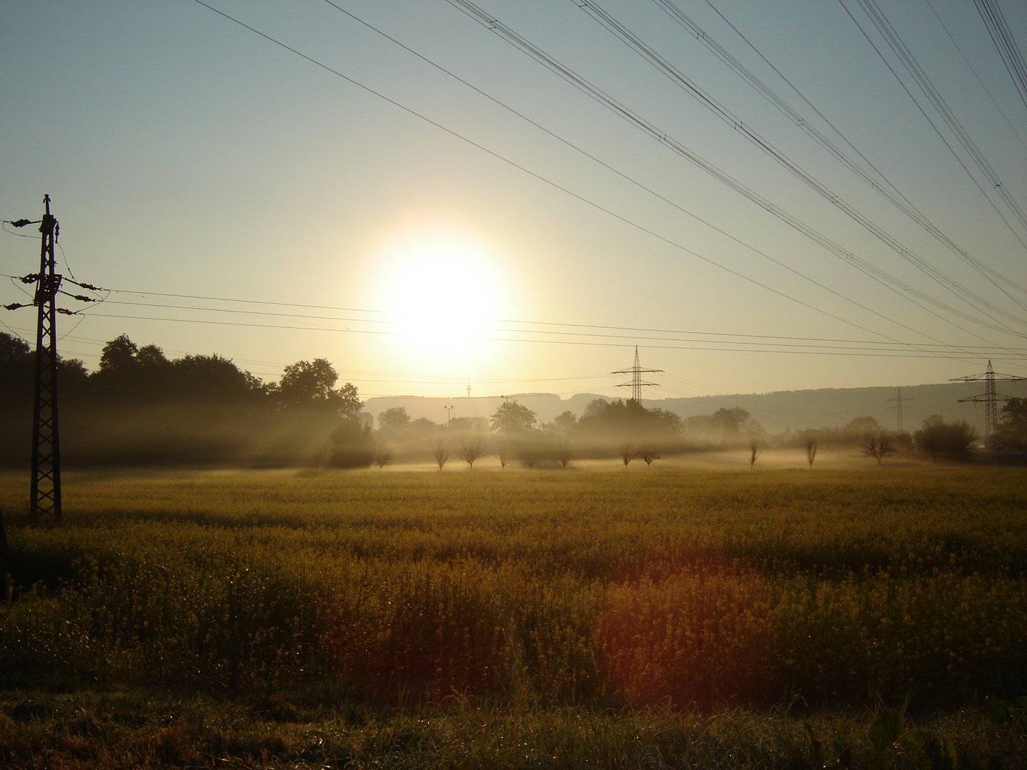 frühnebel