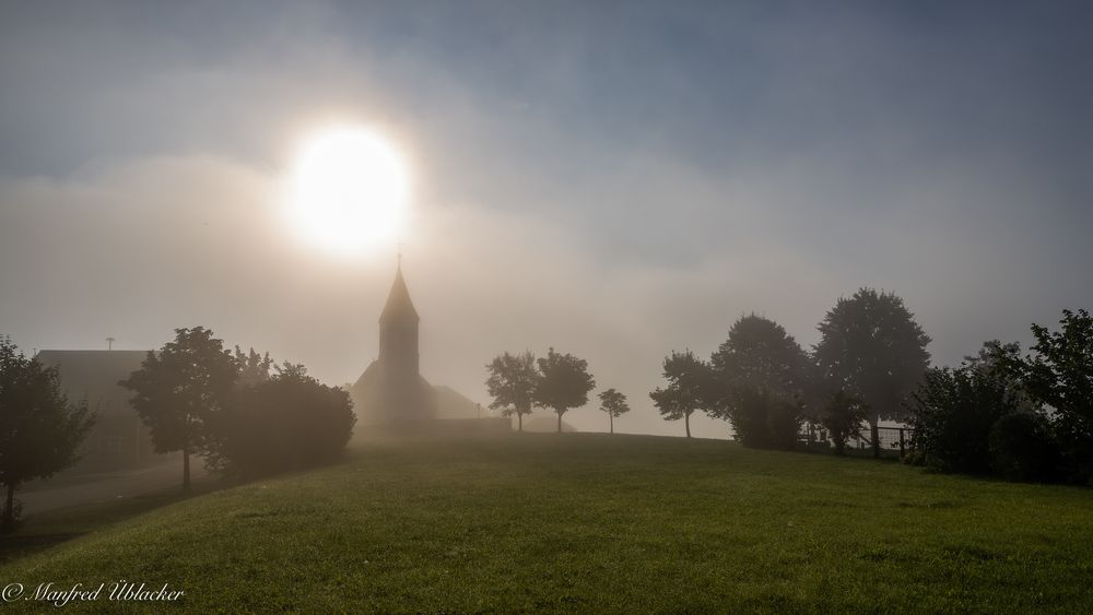 Frühnebel ...