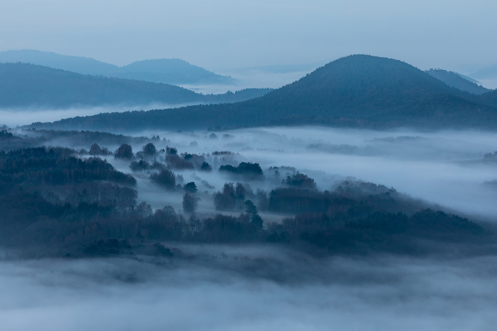 Frühnebel