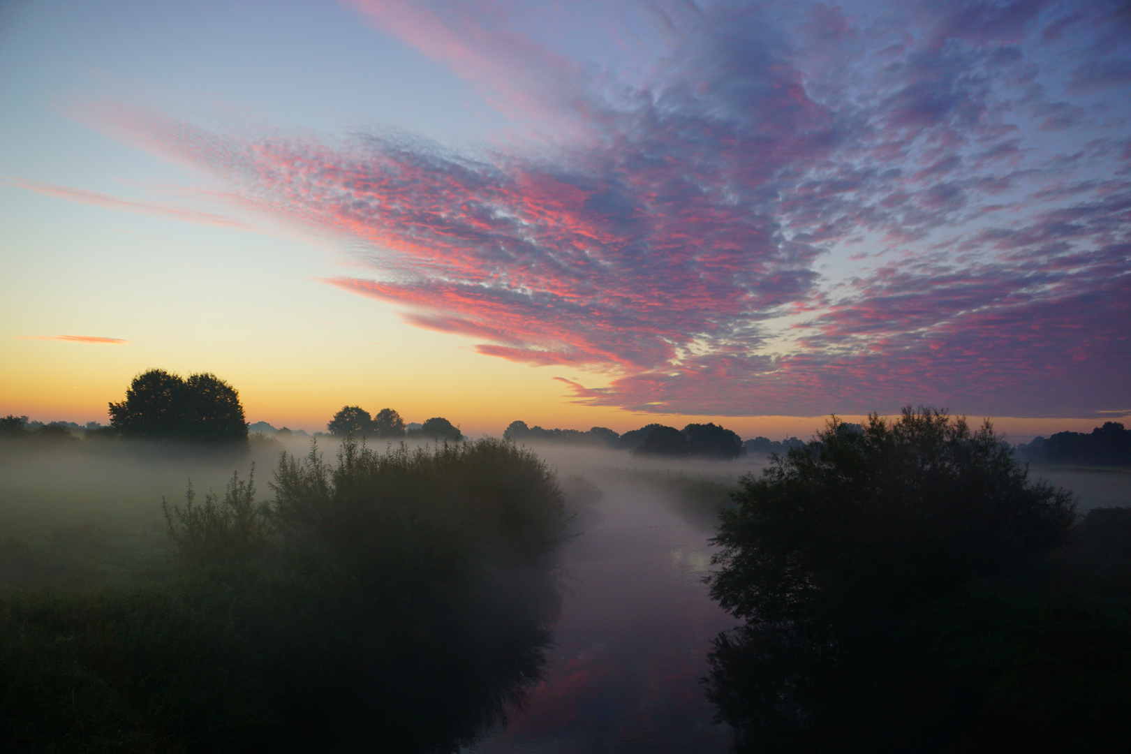 Frühnebel