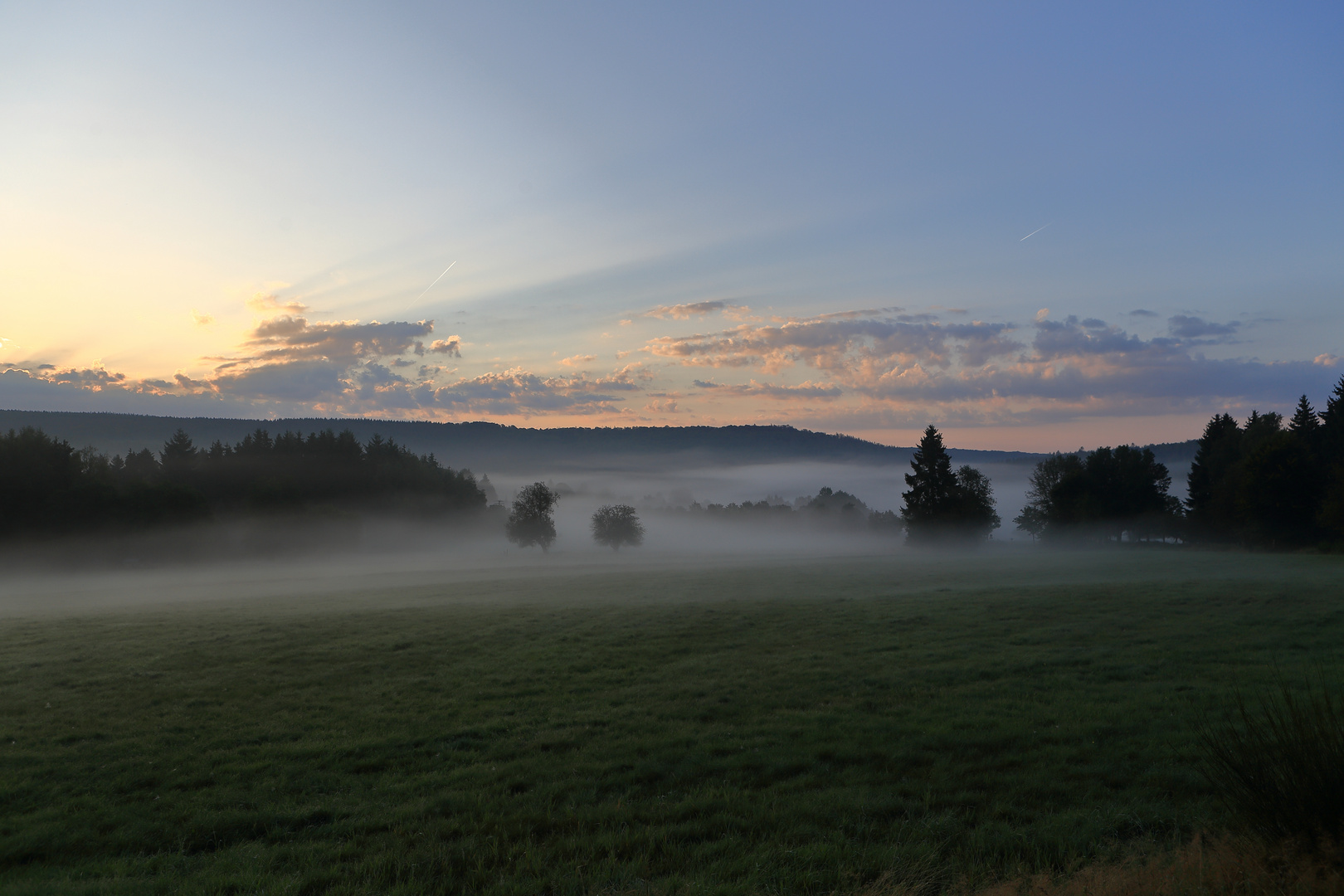 Frühnebel