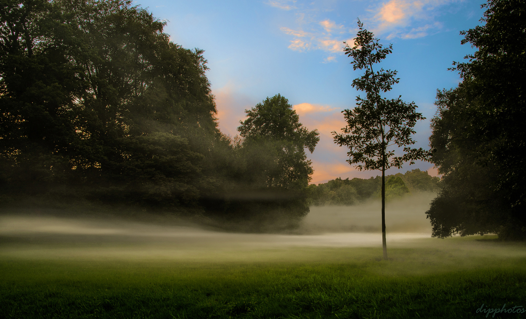 Frühnebel