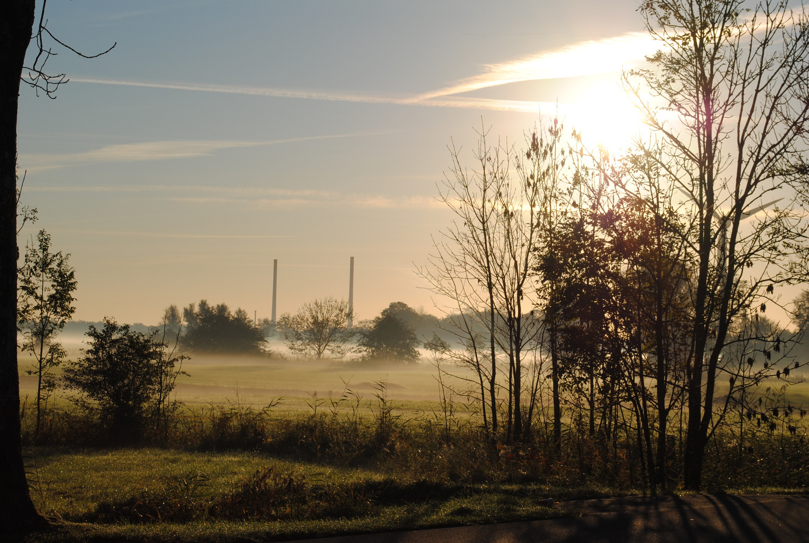 Frühnebel