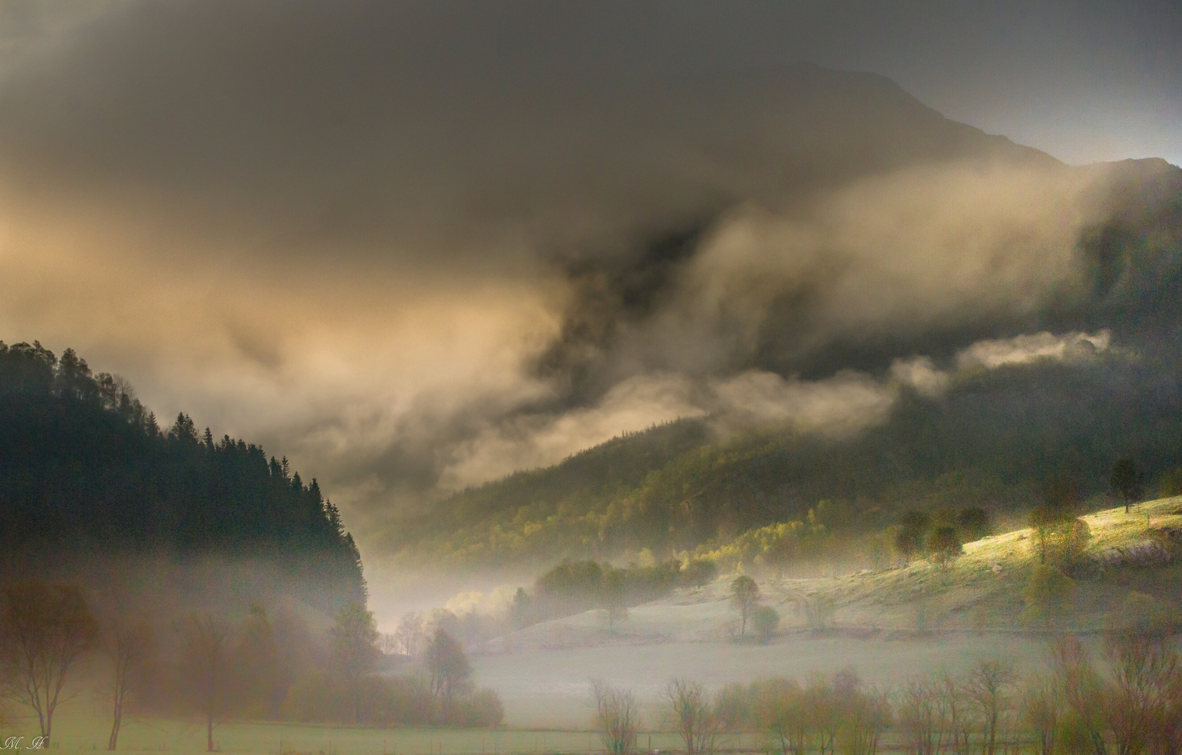 Fruehnebel