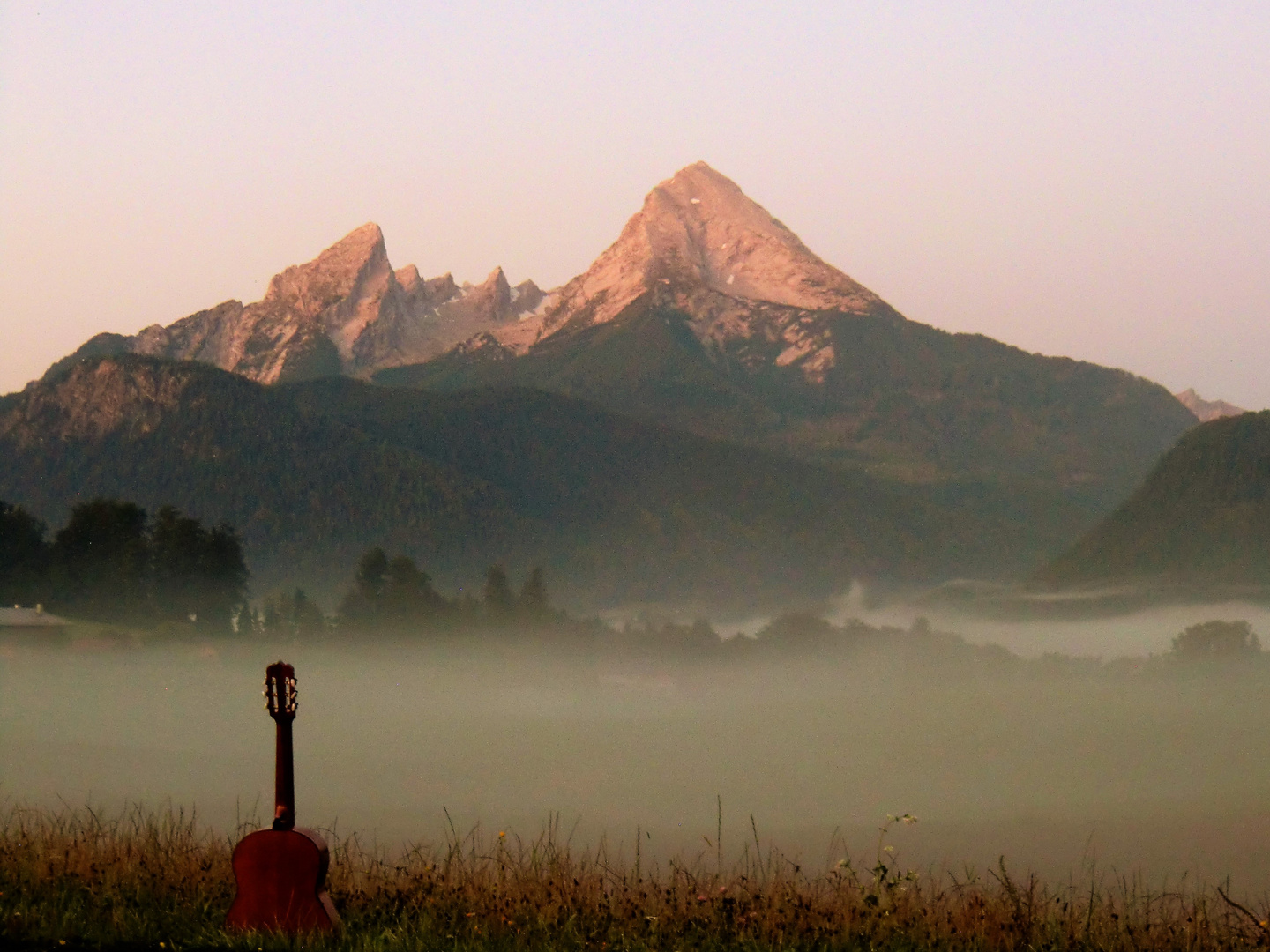 Frühnebel