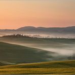 Frühnebel