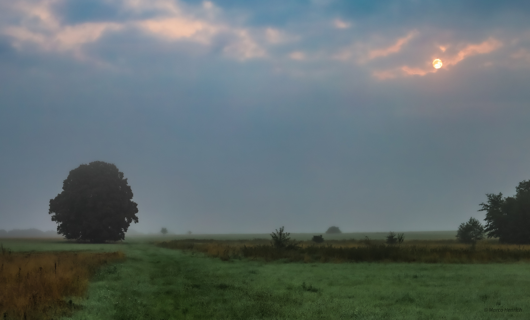 Frühnebel......