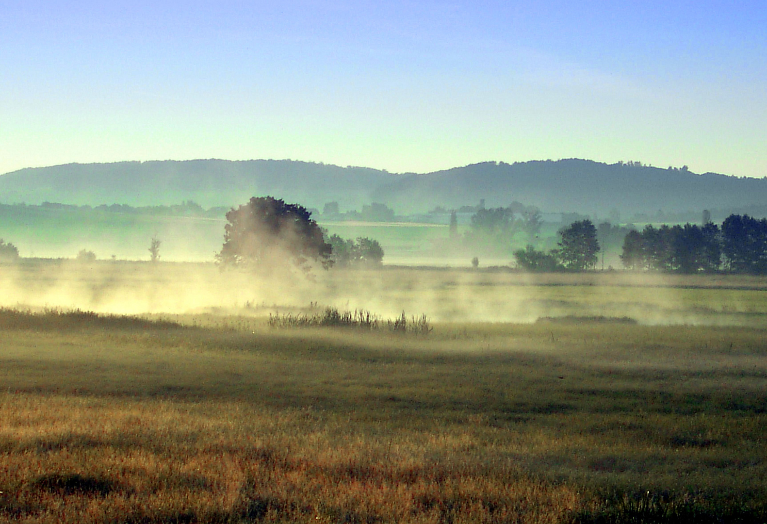 Frühnebel