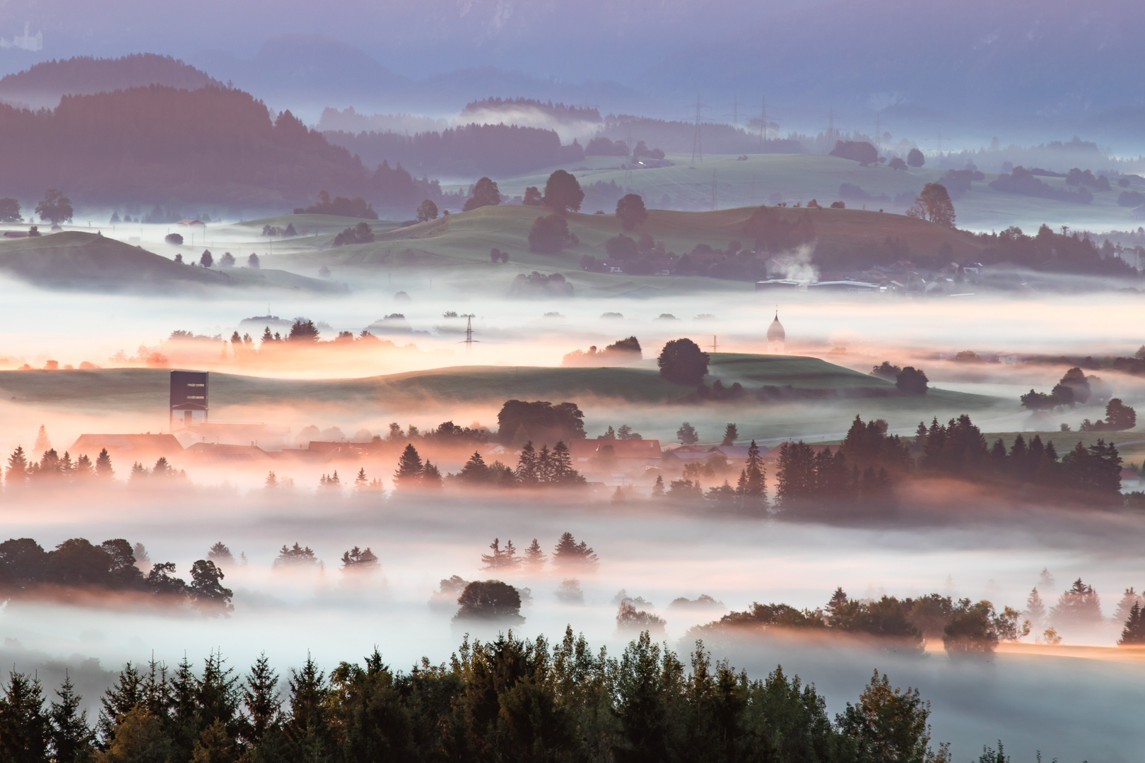 Frühnebel 