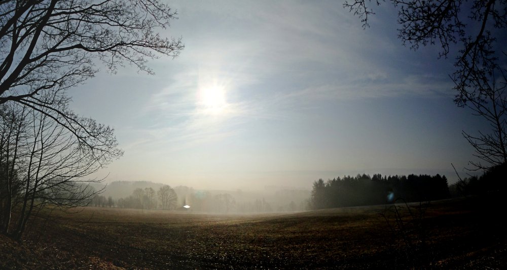 Frühnebel