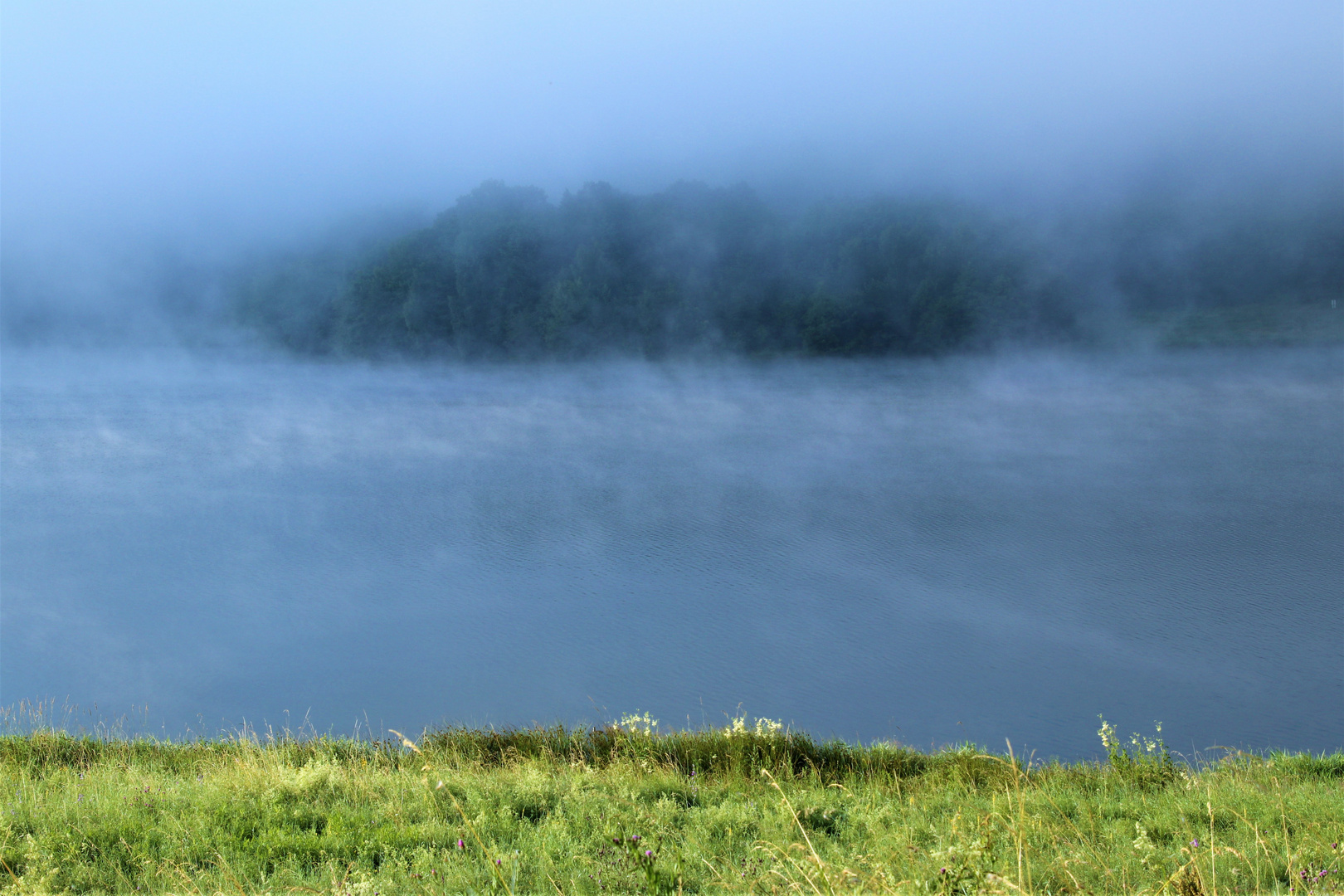 Frühnebel