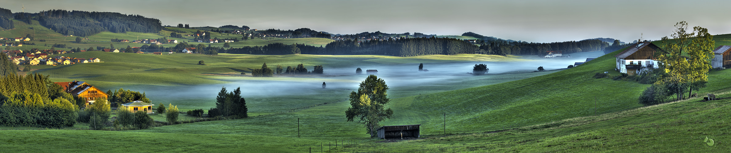 Frühnebel