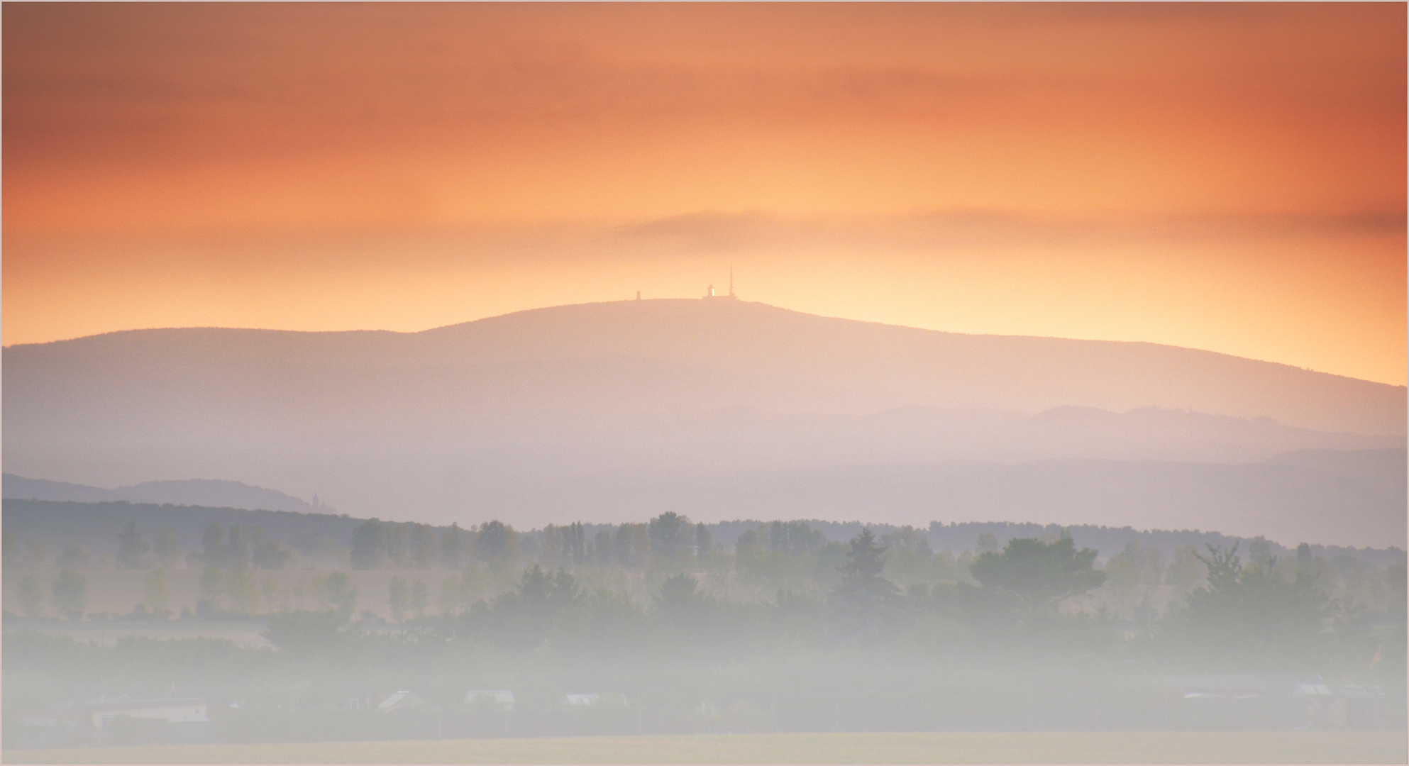 Frühnebel