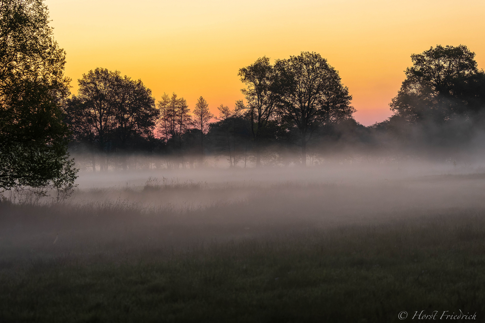 Frühnebel