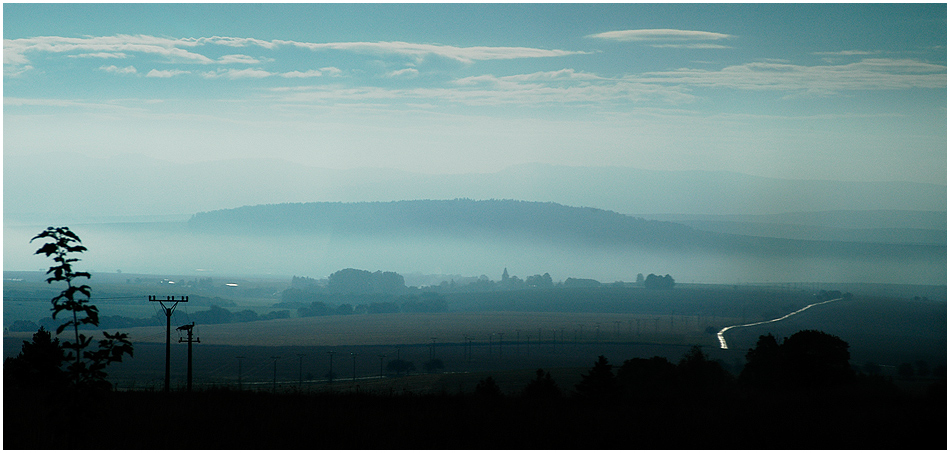 Frühnebel