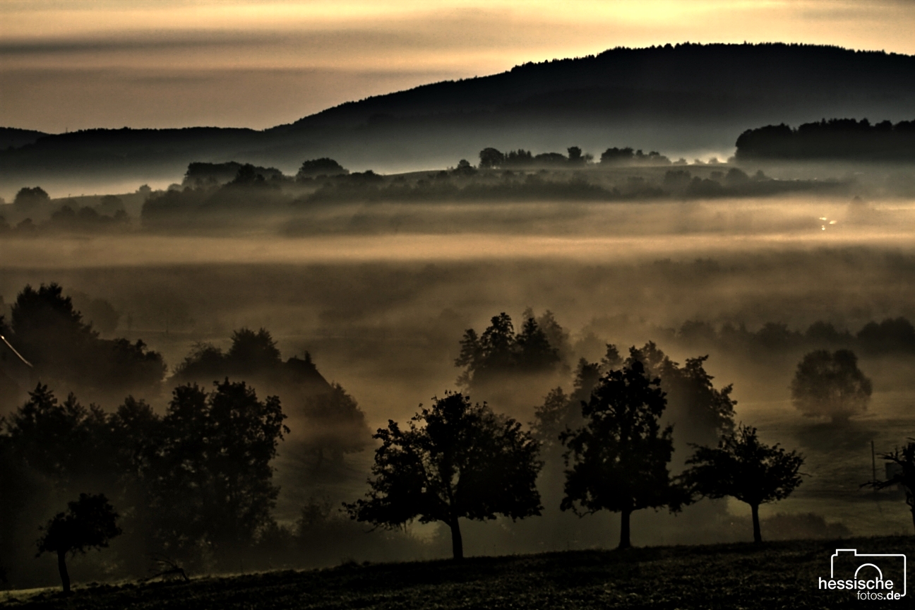 Frühnebel