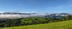 Frühnebel ...