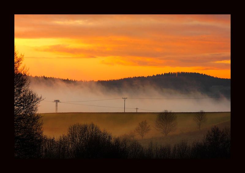 Frühnebel