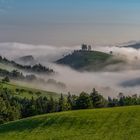 Frühnebel ...