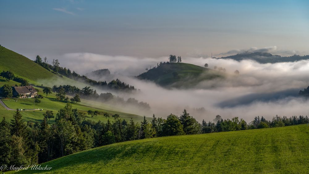 Frühnebel ...