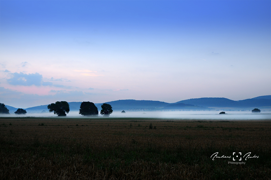 Frühnebel