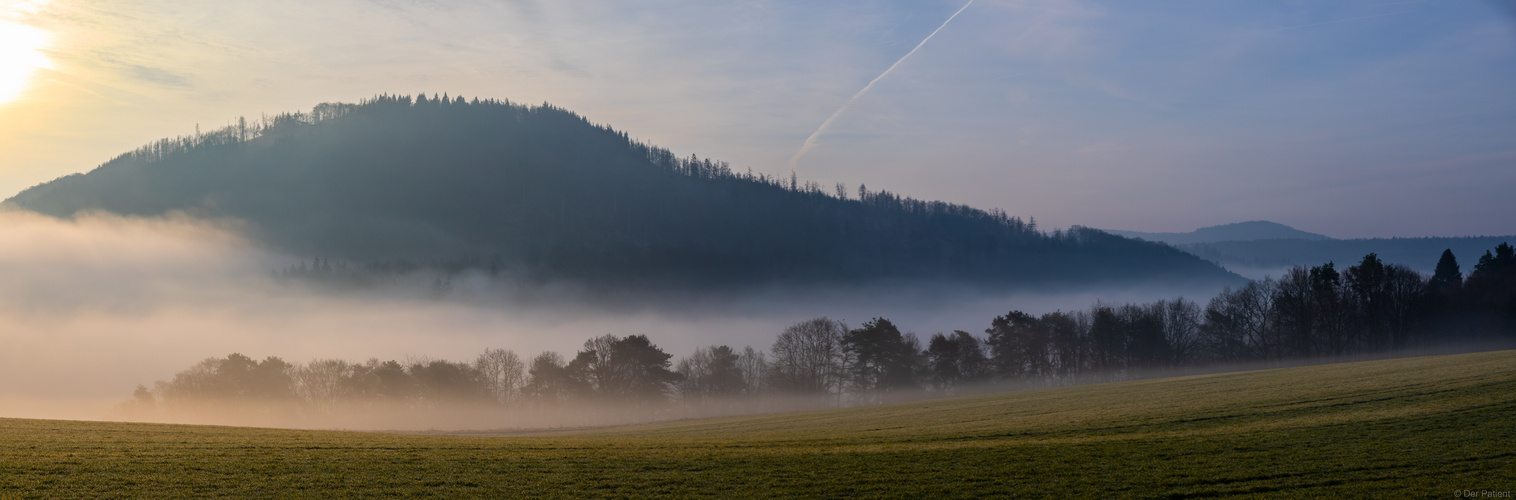 Frühnebel