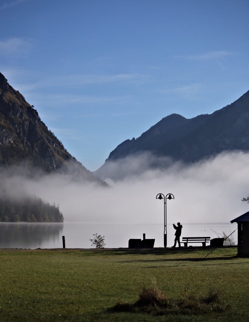 frühnebel