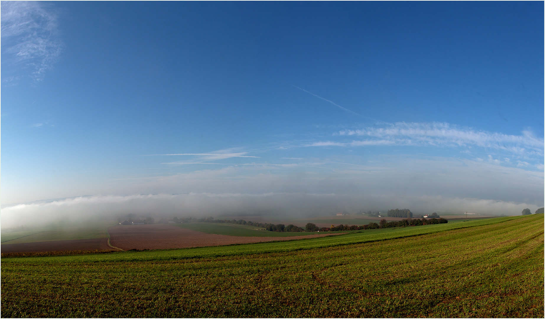 Frühnebel