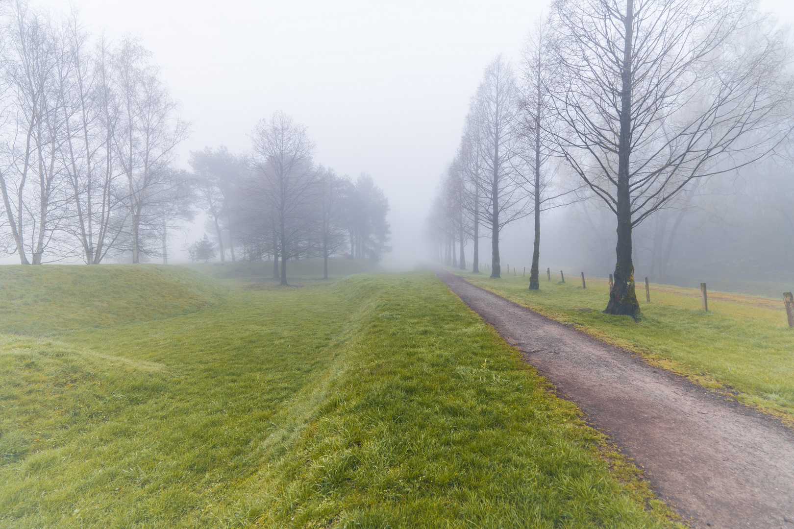 Frühnebel