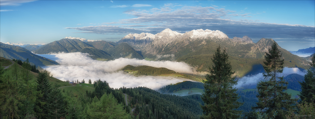 Frühnebel