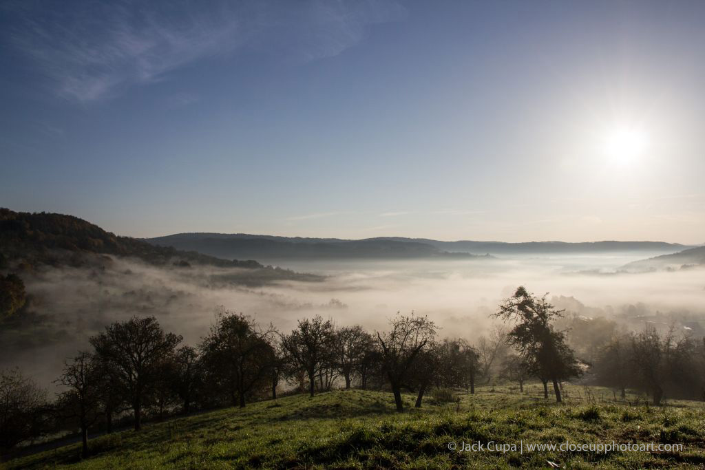 Frühnebel