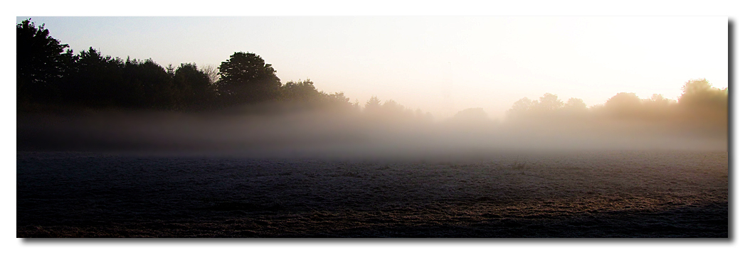 Frühnebel