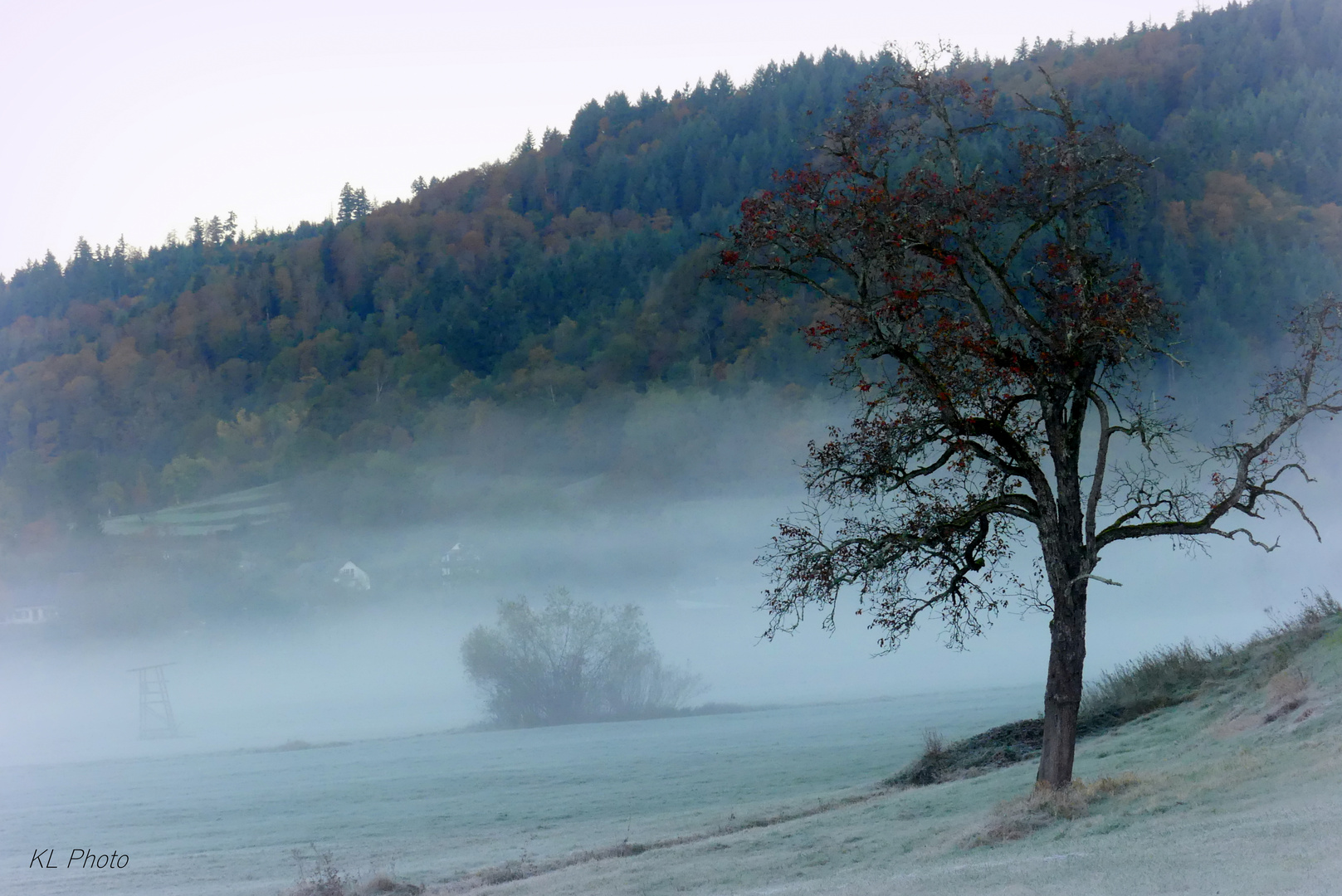 Frühnebel am Ausläufer zum Belchen