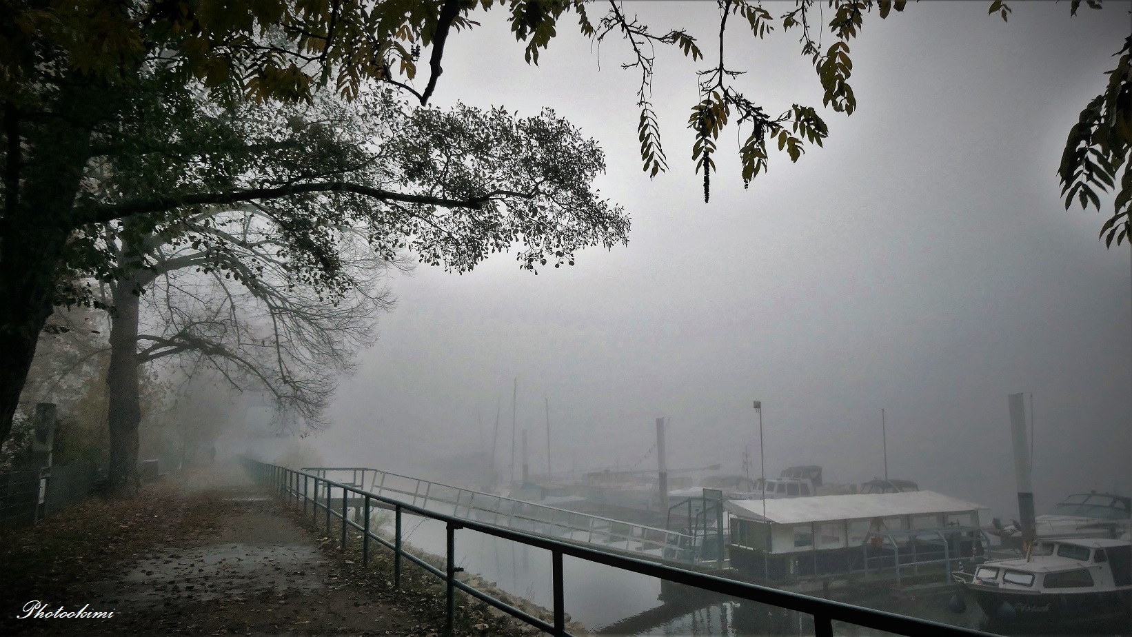 Frühnebel am Bootshafen